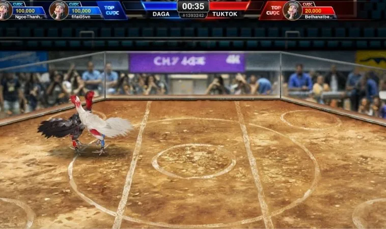 Bật Mí Cách Chơi Đá Gà 3D Tại TK88 Thắng Lớn Mỗi Ngày 1 Đá Gà 3D Tại TK88