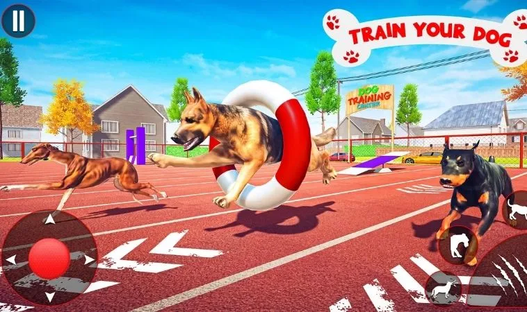 Mẹo Chơi Game Nhanh Đua Chó Tại TK88 Luôn Thắng Lớn 2 Cách chơi game nhanh Đua Chó Tại TK88