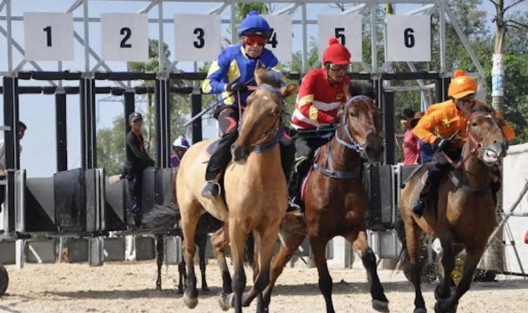 Hướng Dẫn Cá Cược Đua Ngựa TK88 Cho Người Mới Bắt Đầu 2 Cần tìm hiểu về ngựa chiến trước khi tham gia cá cược đua ngựa TK88