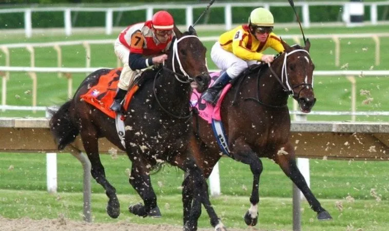 Hướng Dẫn Cá Cược Đua Ngựa TK88 Cho Người Mới Bắt Đầu 1 đua ngựa TK88